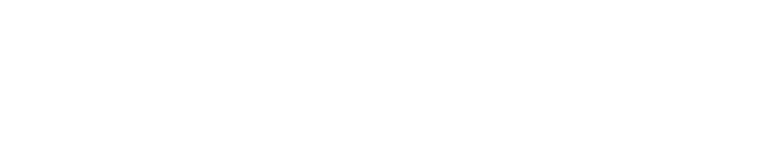 A.R.G SILVERS